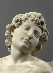 Tête du Cupidon 
