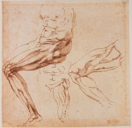 Études de jambes
