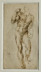 Nu masculin, vue de face, vers 1502-1506 …