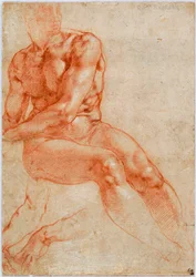 Jeune homme nu assis et deux études de bras, vers 1510-1511