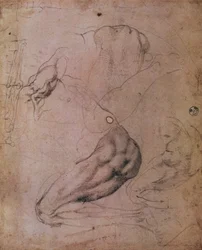 Plafond de la Chapelle Sixtine (1508-12) : croquis de la figure d