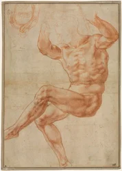 Étude pour le Jeune Nu au-dessus du Prophète Daniel recto, 1510-1511