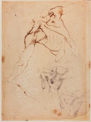 Étude de torse pour la 