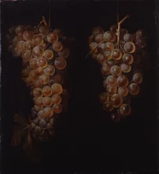 Grappe de raisins