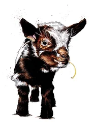 Chevreau sur Blanc, 2020