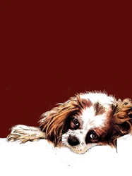 Meg, le spaniel, sur oxyde rouge, 2020