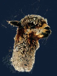 L