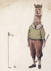 Club de golf Alpaca
