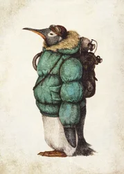 Le pingouin aventurier