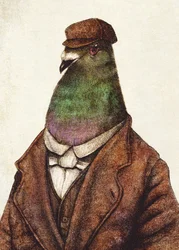 Un pigeon vêtu d