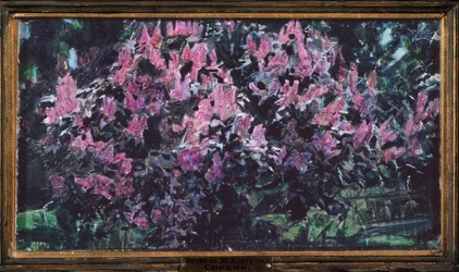 Lilas