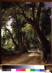 Vue à Albano près de Rome