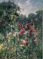 Rose trémière