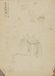 Selle de dromadaire/étudiants
