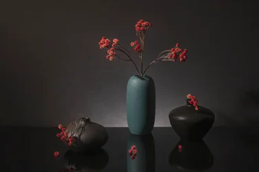 Élégante nature morte aux baies rouges