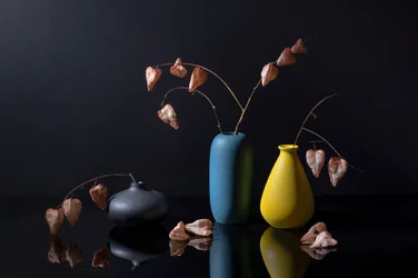 Vases botaniques contemporains