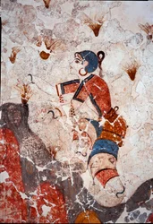 Civilisation minoenne : femmes cueillant du safran. Détail d’une fresque du bassin lustral de Xeste 3 à Akrotiri (Théra), Santorin. Dimensions : 244 x 266 cm, XVIe siècle av. J.-C. Santorin, Collection de fresques d’Akrotiri à Théra
