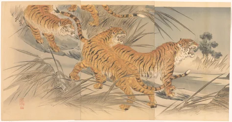 Tigres et soldats