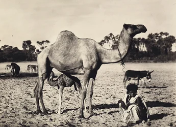 Nomades, 09/05/1936