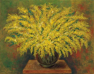 Mimosas