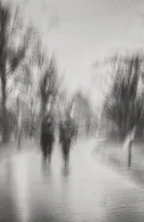 Une promenade onirique dans le parc