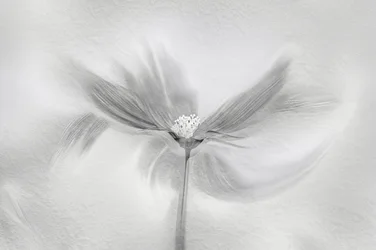 Mouvement « Éthéré »