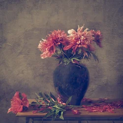 Nature morte à la pivoine mélancolique