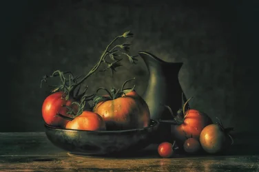 Tomates rustiques « Moody »
