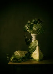 Nature morte au chou de Savoie