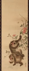 Singes et roses