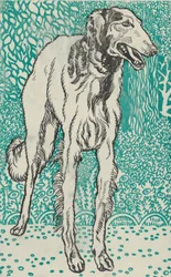 Lévrier