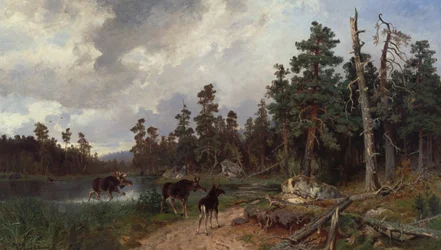 Orignal et chasseurs dans une forêt de pins