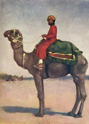 Un cavalier de chameau de Kota, 1903