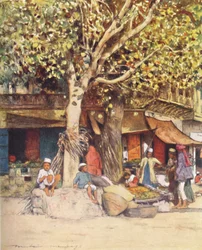 Midi, Delhi, 1905