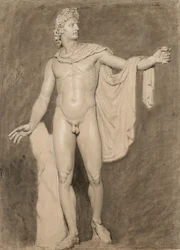 Apollon du Belvédère