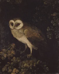 Un hibou