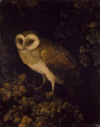 Un hibou, 1780-90