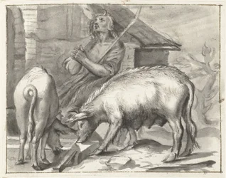 Ferme avec volaille