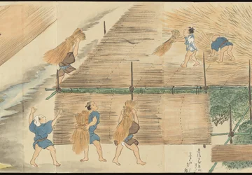 Illustrations de la production du thé Uji