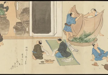 Illustrations de la production du thé Uji