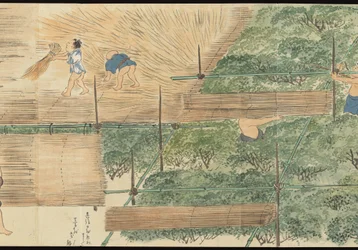 Illustrations de la production du thé Uji