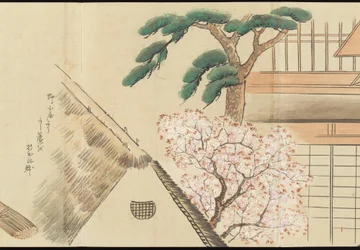 Illustrations de la production du thé Uji
