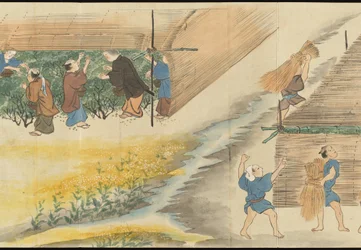 Illustrations de la production du thé Uji
