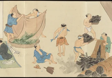 Illustrations de la production du thé Uji
