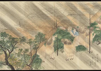 Illustrations de la production du thé Uji