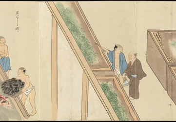 Illustrations de la production du thé Uji