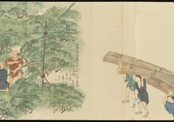 Illustrations de la production du thé Uji