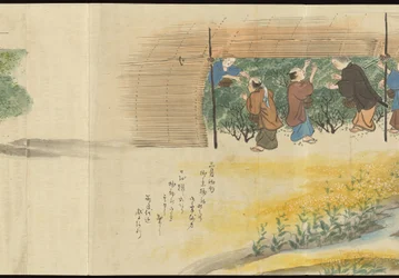 Illustrations de la production du thé Uji