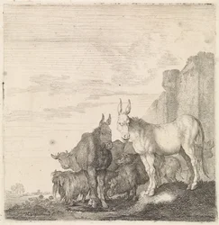 Ânes près d