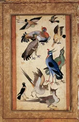 Dix oiseaux. Peinture miniature à la gouache de l